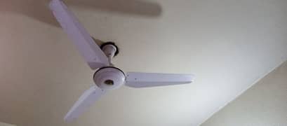 Marcedies company Fan