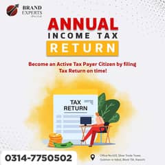 Income Tax Return, Tax Consultant, Tax Filer, FBR Business NTN