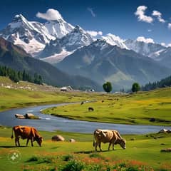 Naran kaghan tour only 17500 0