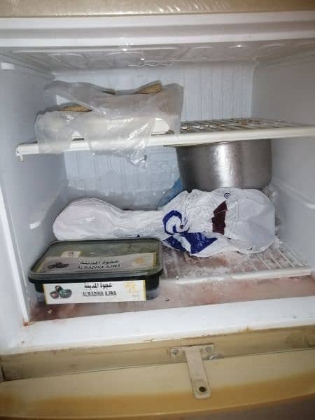 Pel fridge 7