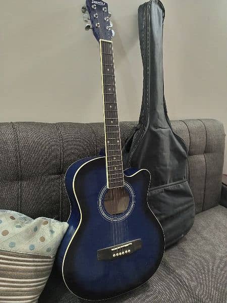 Guitar with bag and picks 7