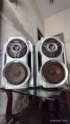 Sony Dual Subwoofer Speakers