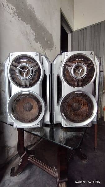 Sony Dual Subwoofer Speakers 2