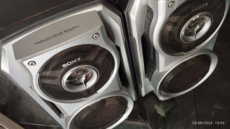 Sony Dual Subwoofer Speakers 3