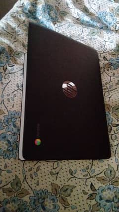 HP ChromeBook with Windows 0