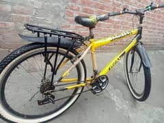 New bicycle Condition 10/10 03007694892