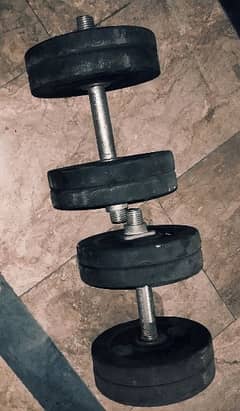 dumbbells / barbell / bench press seat 0