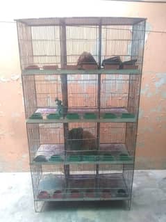 Customizable 12-Portion Iron Parrot Cage | new cage | parrot cage