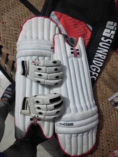 Pads/ Gloves / Bag ( Graynicols )