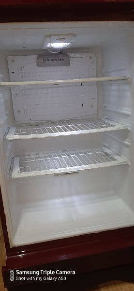 pel refrigerator xl size 2