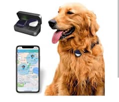 dog gps tracker system