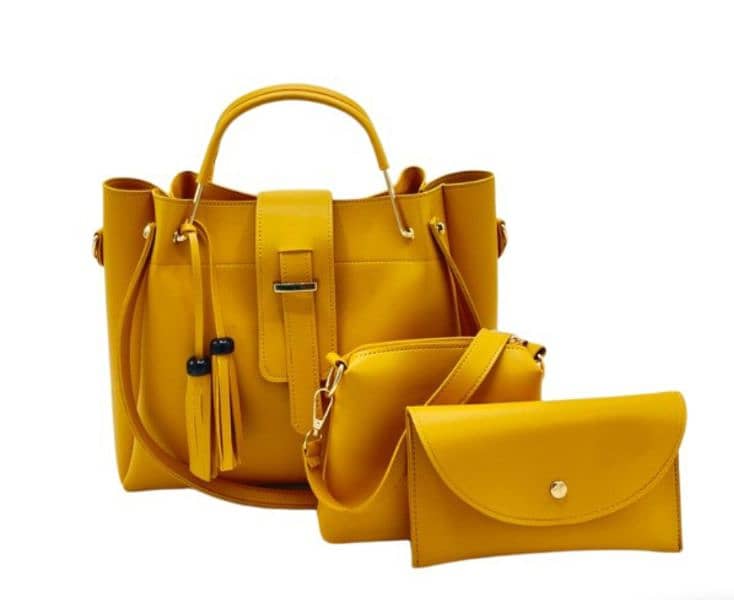 Z S woman handbags 5