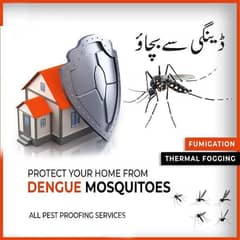 Dengue spray termite control pest control Service 0