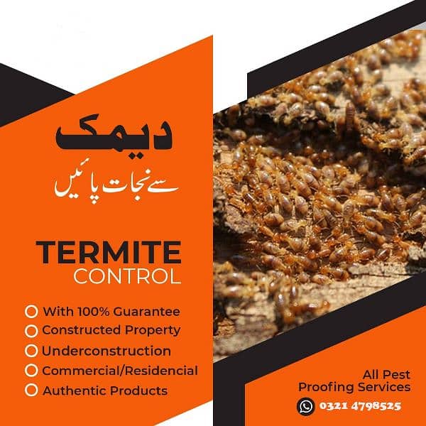 Dengue spray termite control pest control Service 1