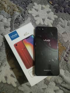 vivo