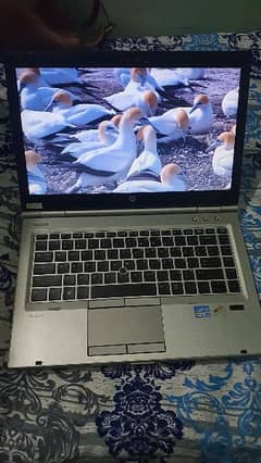 Hp elitebook 8460p 0