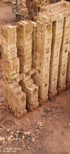 peshawar special Bricks