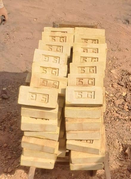 peshawar special Bricks 5