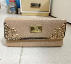 ladies fancy new clutch 0