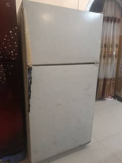 fridge