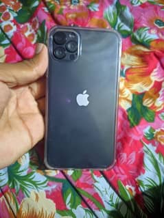 Iphone XR non pta exchange possible