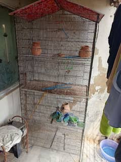 birds cage for sale