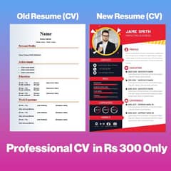 Professional Resume (Cv) with cover letter