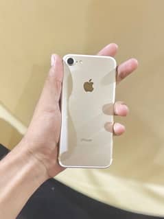 iPhone  7 pta