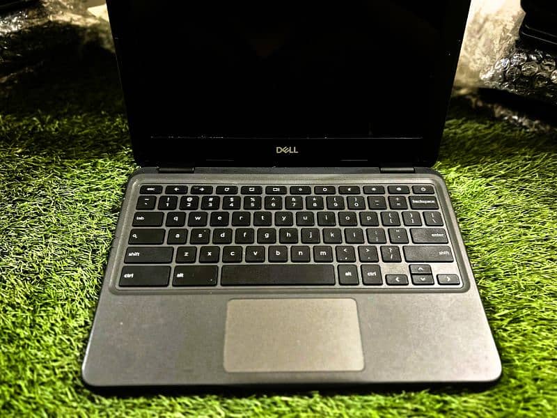 Dell Chromebook 3100 (Updates 2029, C type) | Intel Cel 4000 | 4/16GB 3