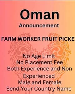 OMAN DUBAI SAUDIA JOB VISA