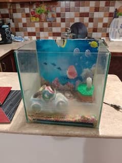 Aquarium 14inch x 14inch x 10 inch 0