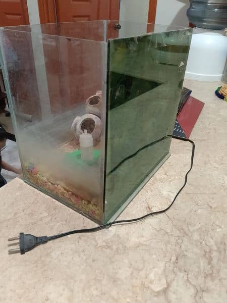 Aquarium 14inch x 14inch x 10 inch 1