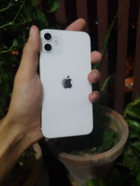 iPhone 11 (Factory unlock, under Apple's official warranty) 0