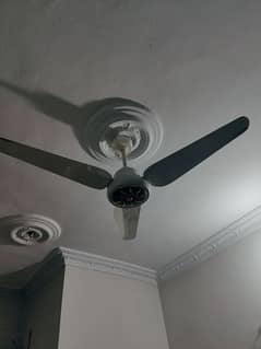 ceiling fan