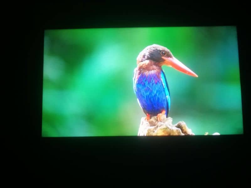 Haier Android tv 32 inch 3