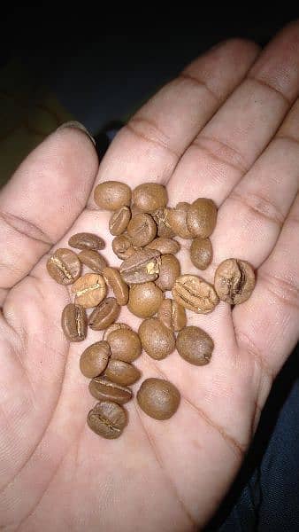 Coffee beans & Restaurant blend. 1