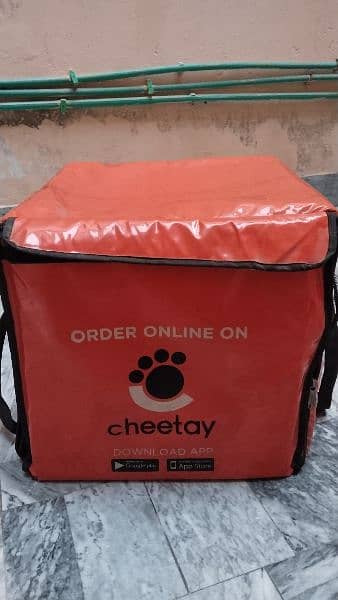 delivery bag for sale 2