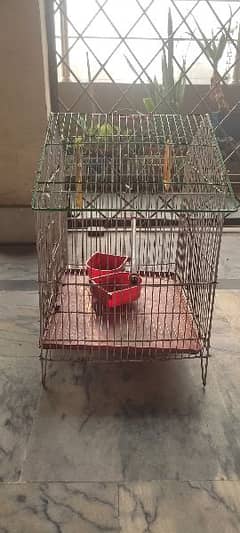 Parrots Cages 2x 0