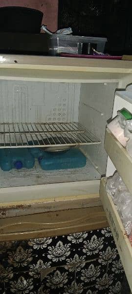 small size fridge urgent sell 3