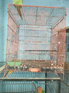 Used cages for sale 0