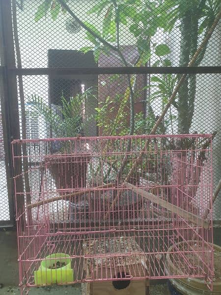 Used cages for sale 3