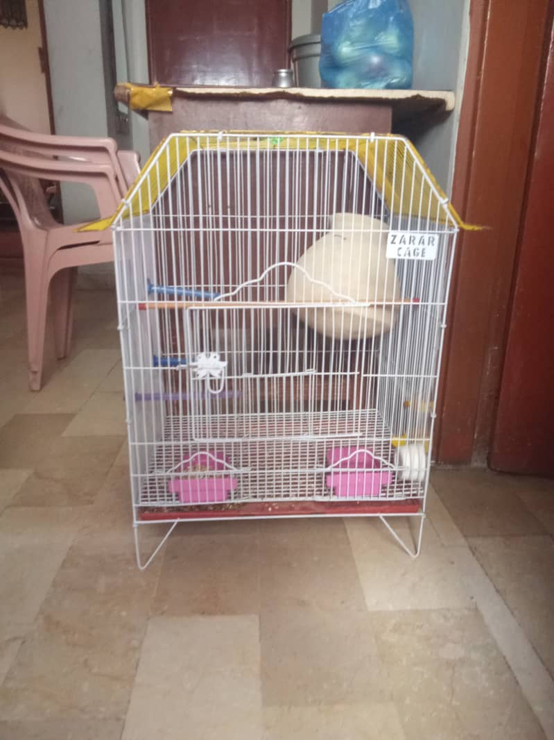 blue pasnata parrot with cage 2