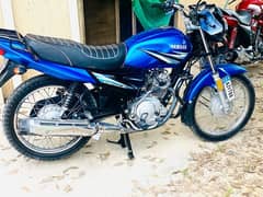 Yamaha