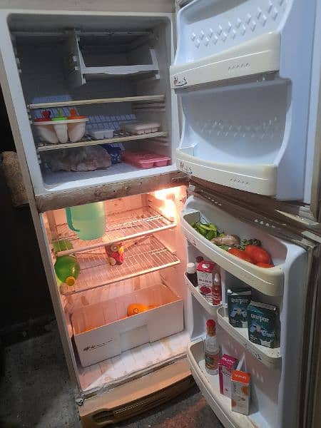 PEL Refrigerator for Sale 7