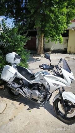 Suzuki inazuma aegis in excellent condition