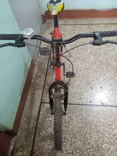 mountain bicycle