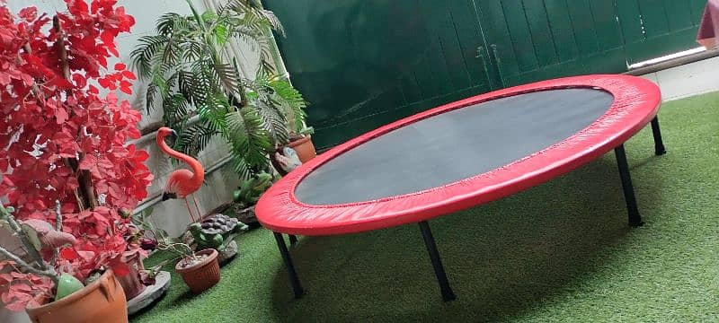 trampoline 60 inch. 3