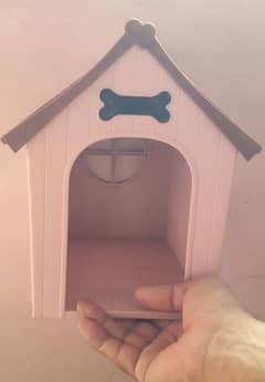 Dog House