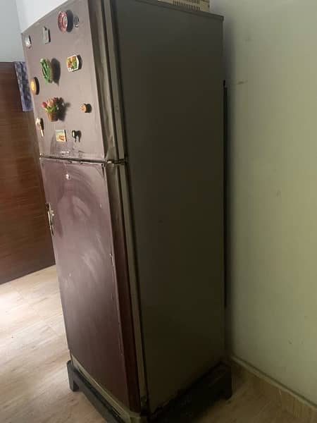 PEL Refrigerator 5