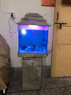 10 fishes with aquarium for sale